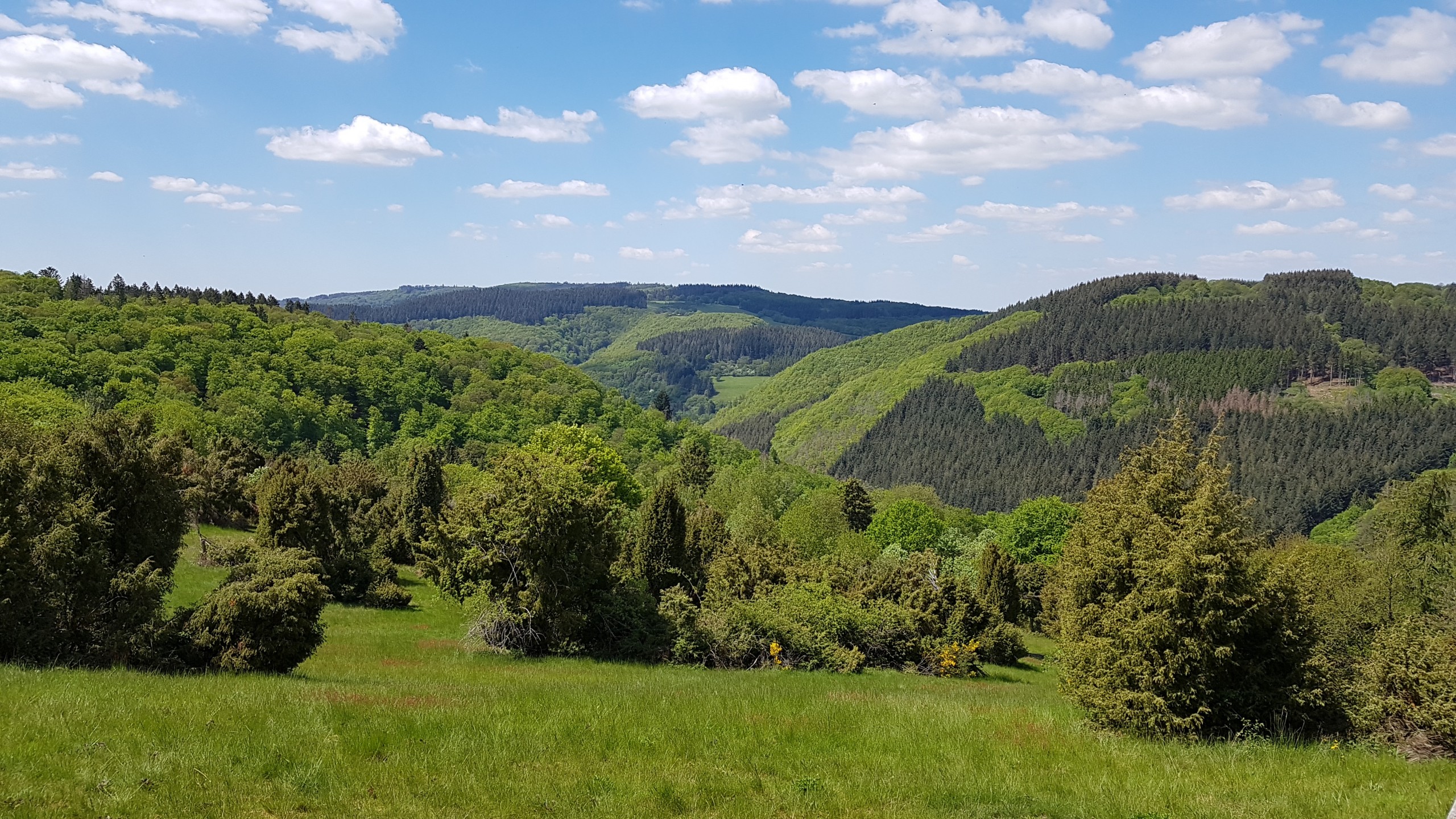 Auf den schönsten Wanderwegen unterwegs: Eifel – Westerwald – Hunsrück – im Rheingau und in der Pfalz